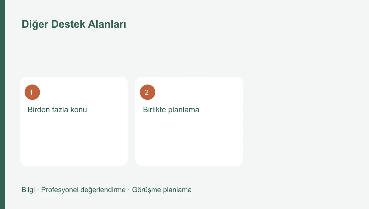 Diğer Destek Alanları Diğer Destek Alanları için üç başlığı gösteren bilgi şeması